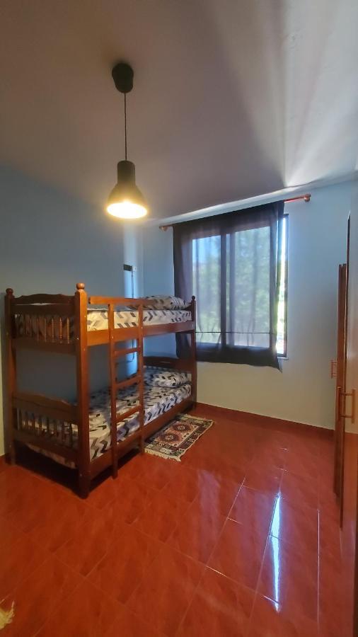 Traveler Hostel Шкодер Экстерьер фото